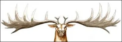 À quel animal le mégacéros ressemble-t-il ?