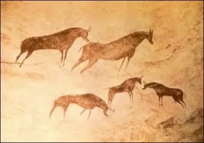 Comment l'Homo habilis se tenait-il souvent ?