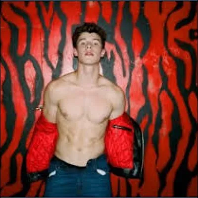 Avec qui a-t-il chanté "I Know What You Did Last Summer" ?