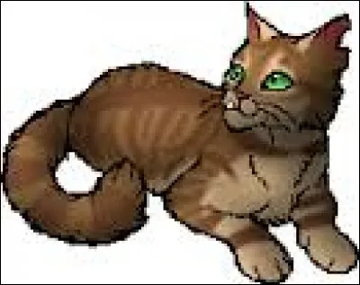 Quel était le premier nom de chaton d'Étoile Balafrée ?