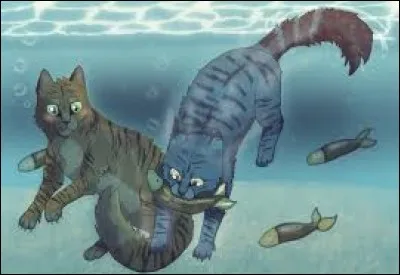 Guerrier, il tomba petit à petit amoureux d'une chatte, qui est-ce ?