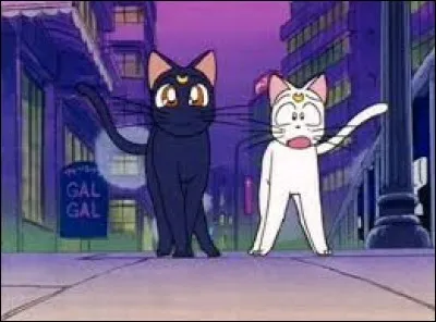 Ton personnage de Sailor Moon préféré :
