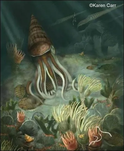 D'où vient le nom "Ordovicien" ?