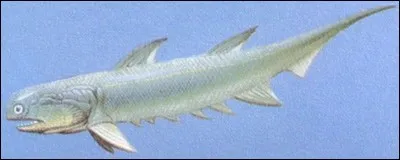 À quelle époque apparaissent les poissons à mâchoire ?