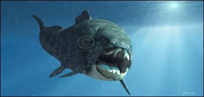 Quel est ce poisson du Devonien ?