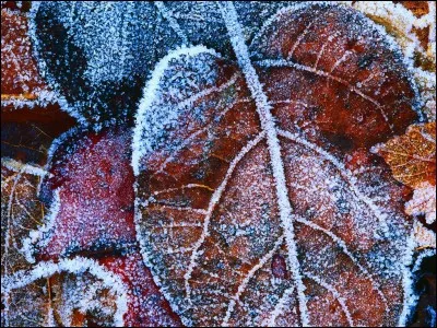 Prendre entre les dents.
