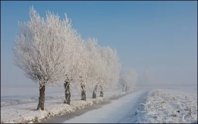 Murmurer entre les dents.