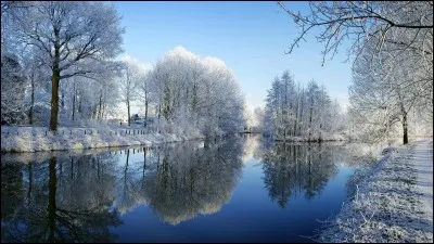 Point de broderie dont le dessin forme des dents arrondies.