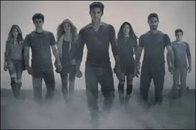 Ton personnage de "Teen Wolf" favori est :