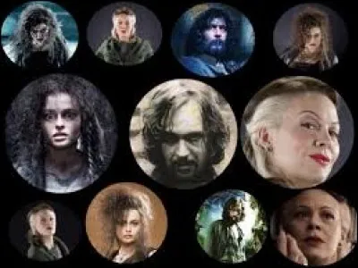 Quelle est la caractéristique de la famille Black dont Bellatrix fait partie ?