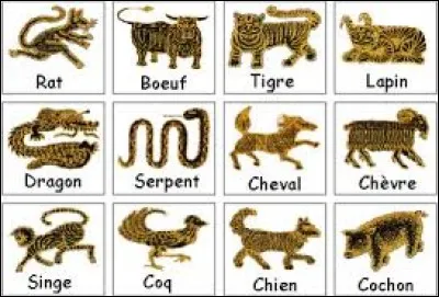 En Chine, 2005 était l'année du...