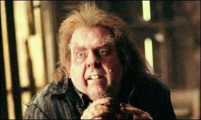 Quel est le prénom de Pettigrow ?