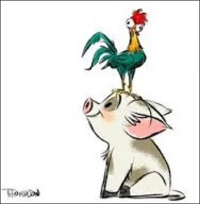 Comment s'appelle son petit coq ?