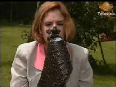 Pourquoi Angelica ramasse-t-elle des feuilles avec ses dents ?