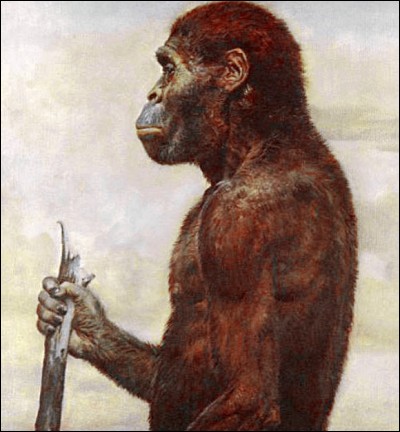Quel australopithèque n'existe pas ?