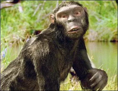 Dans quel pays a-t-on découvert Orrorin ?