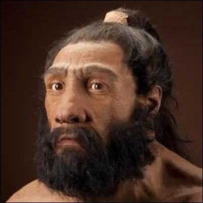 L'Homme de Néandertal, Homo neanderthalensis, était plus ... qu'Homo sapiens.