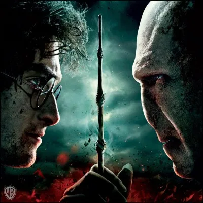Avec quelle personne Voldemort a-t-il un point commun : une plume de phénix qui se trouve à l'intérieur de sa baguette et de celle de la personne ?