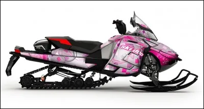 Quelle est la couleur principale du Ski-Doo ?