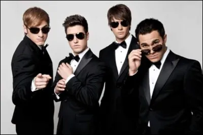 Quel &acirc;ge ont Kendall Schmidt, Logan Henderson, Carlos Pena J.R et James Maslow ?