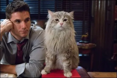 Dans quel film cette photo a-t-elle &eacute;t&eacute; prise ?