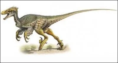 Comment s'appelle ce dinosaure ?