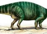 Quiz Prhistoire - Trouvez le dinosaure. (2)