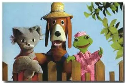 Comment se nomme la grenouille dans « La maison de toutou », série télévisée d'animation française ?