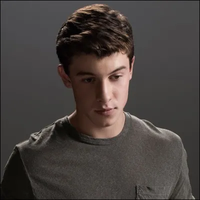 C'est Shawn Mendes .