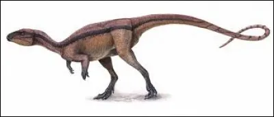 Ll a été découvert en Chine. Comment se nomme-t-il ?