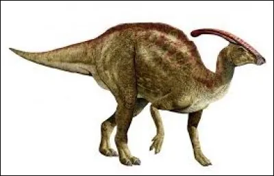 Retrouvez le nom de ce dinosaure appartenant à l'ordre des ornithischiens ?