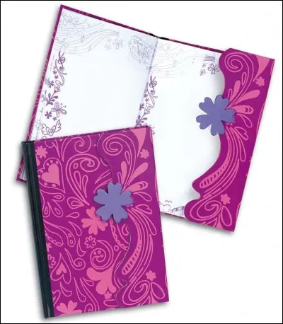 À qui appartient ce journal intime ?