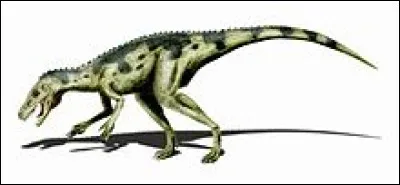 Herrerasaurus était...