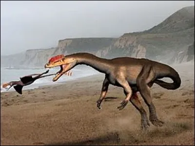 Où le fossile du Liliensternus a-t-il été découvert ?