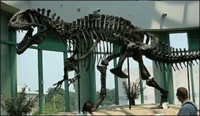 Les restes fossiles de l'Acrocanthosaurus ont été découverts à Berlin en Allemange.