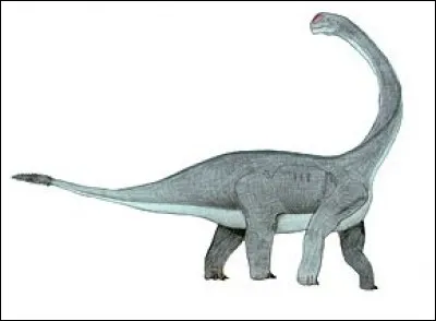 Où les restes de l'Abrosaurus furent-ils trouvés en 1984 ?