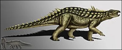 Combien l'Acanthopholis signifiant « écailles épineuses » mesurait-il ?