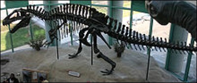 L'Acrocanthosaurus était...