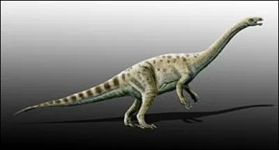 Que signifie "Adeopapposaurus" ?