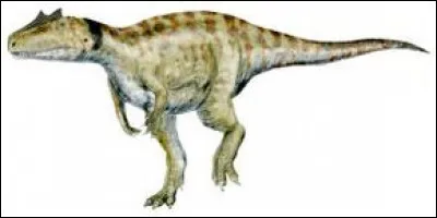 L'Aerosteon vivait en...