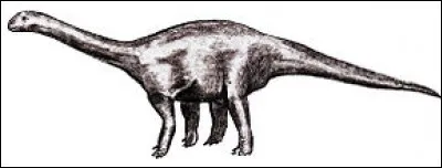Antetonitrus est le plus vieux genre de dinosaure sauropode.