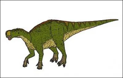 Altirhinus est un genre de dinosaure ornithopode iguanodonte. Sur quel continent vivait-il ?