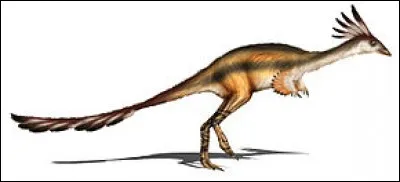 Où l'Alvarezsaurus a-t-il été découvert ?
