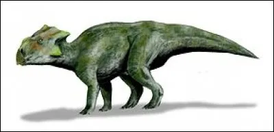 À qui le Bagaceratops ressemblait-il ?