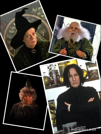 À Poudlard, quel professeur préfères-tu ?