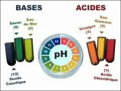 Qu'en est-il d'une base de Br&oslash;nsted ?