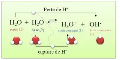 Comment appelle-t-on la r&eacute;action qui repr&eacute;sente l'&eacute;quation : 2H2O => H30+ + HO- ?