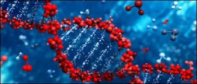Quels signes utilise-t-on pour repr&eacute;senter la concentration ?