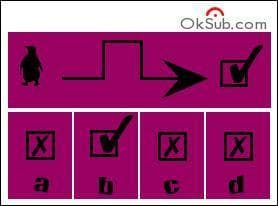 Aide monsieur pingouin  traverser le labyrinthe. Que trouvera-t-il  la sortie ?