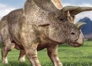 Quiz Vrai ou faux (1) - Triceratops